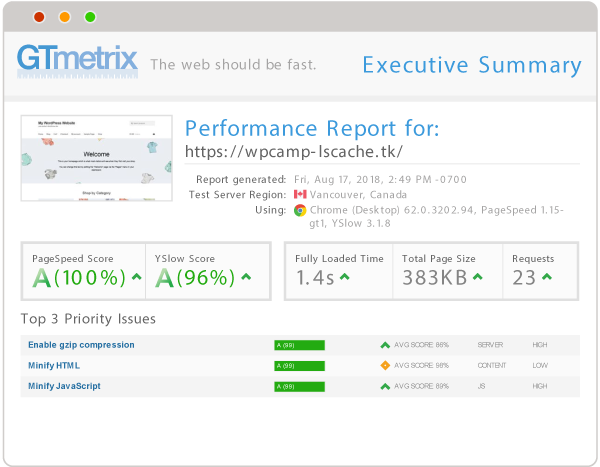 pagespeed before lscache