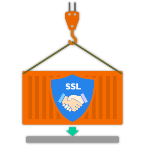 ssl handshake offloading