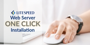 LSWS One-Click Installation