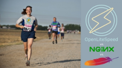 OpenLiteSpeed vs. NGiNX vs. Apache