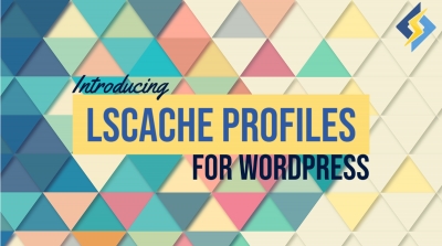 LiteSpeed Cache Profiles