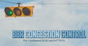 BBR Control in QUIC and HTTP/3