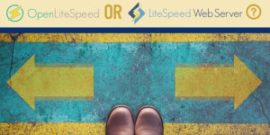 OpenLiteSpeed or LiteSpeed Enterprise?