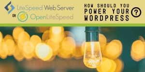 LiteSpeed Web Server or OpenLiteSpeed?