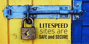 LiteSpeed Sites are Secure