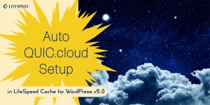 Auto CDN Setup in LSCWP 5.0