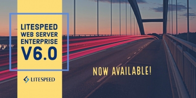 LiteSpeed Web Server v6.0