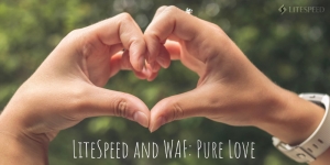 LiteSpeed and WAF: Pure Love