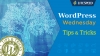 LSCache for WordPress 2018 Milestones