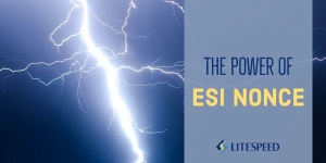 The Power of ESI Nonce