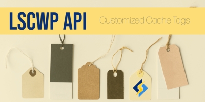 Customized Cache Tags With LSCWP API